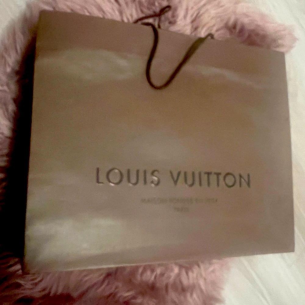 Louis Vuitton paper shopping bag